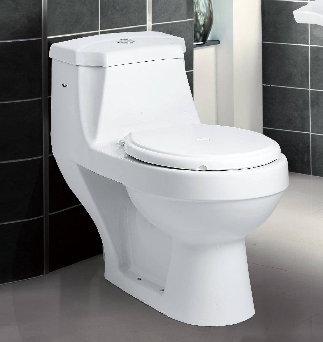 Saga Elegance one piece Commode – A-One Sanitary store